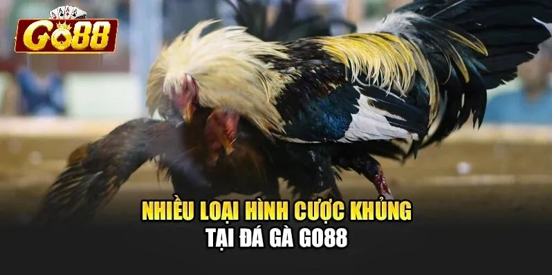 Cách thức hoạt động của chuyên mục Đá Gà Go88