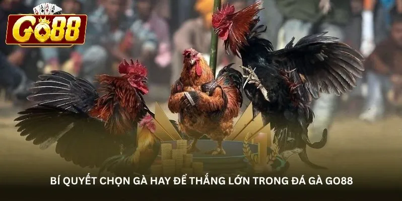 Ưu điểm của mô hình đá gà trực tuyến